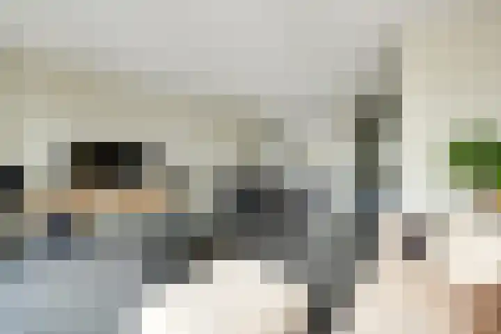 Het Kruys 20 Esch thumbnail 17
