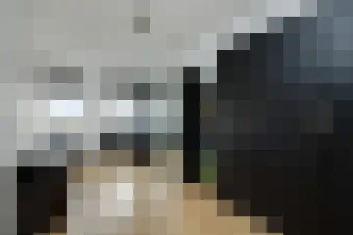 Het Kruys 20 Esch thumbnail 27
