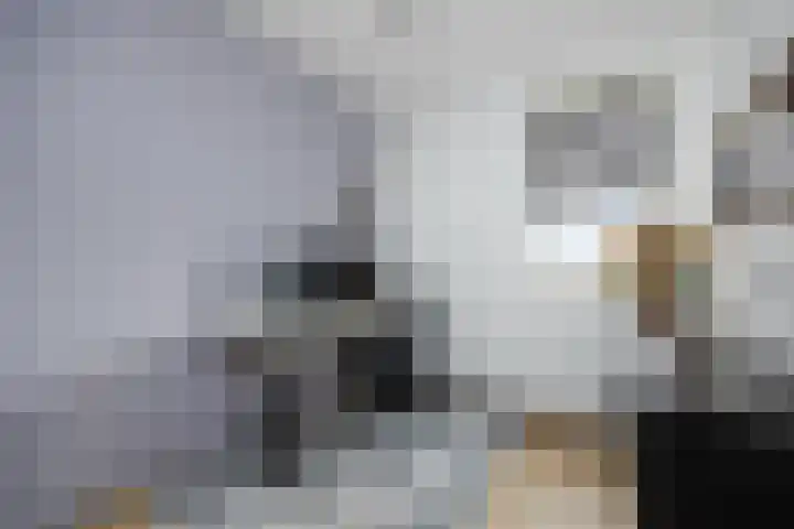 Het Kruys 20 Esch thumbnail 29