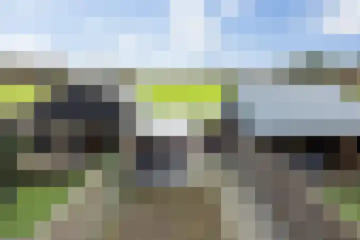 Het Kruys 20 Esch thumbnail 31