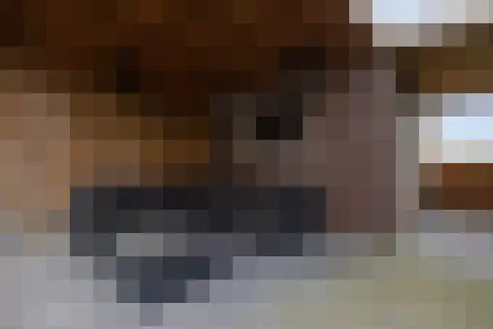 Het Kruys 20 Esch thumbnail 44