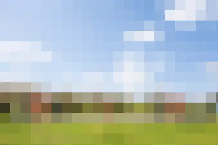 Het Kruys 20 Esch thumbnail 55