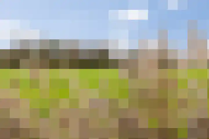 Het Kruys 20 Esch thumbnail 56
