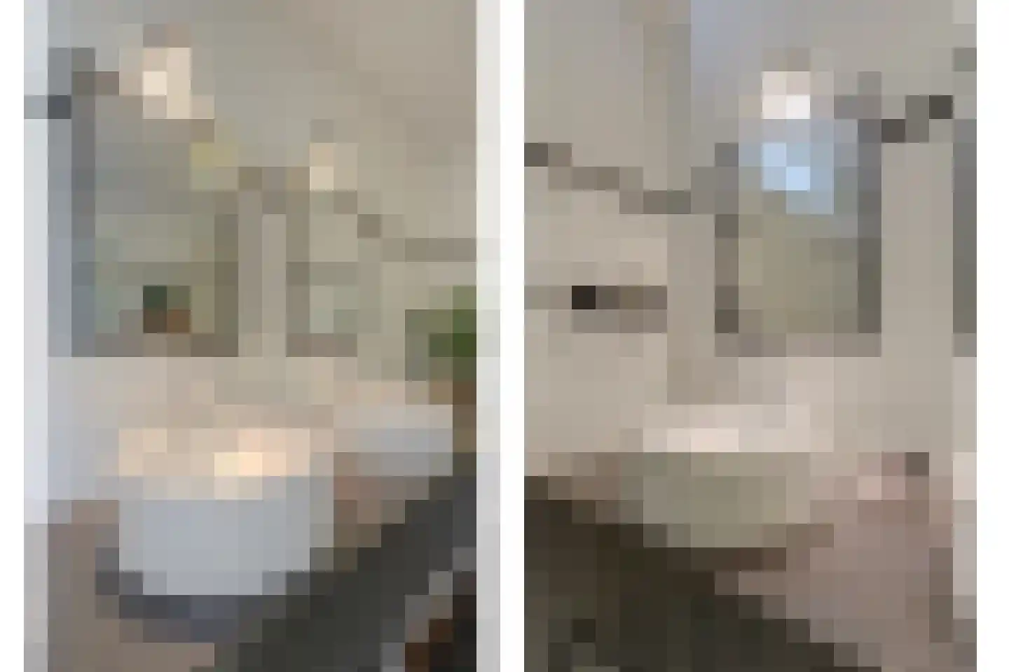 Het Kwatrijn 10 Ridderkerk thumbnail 31
