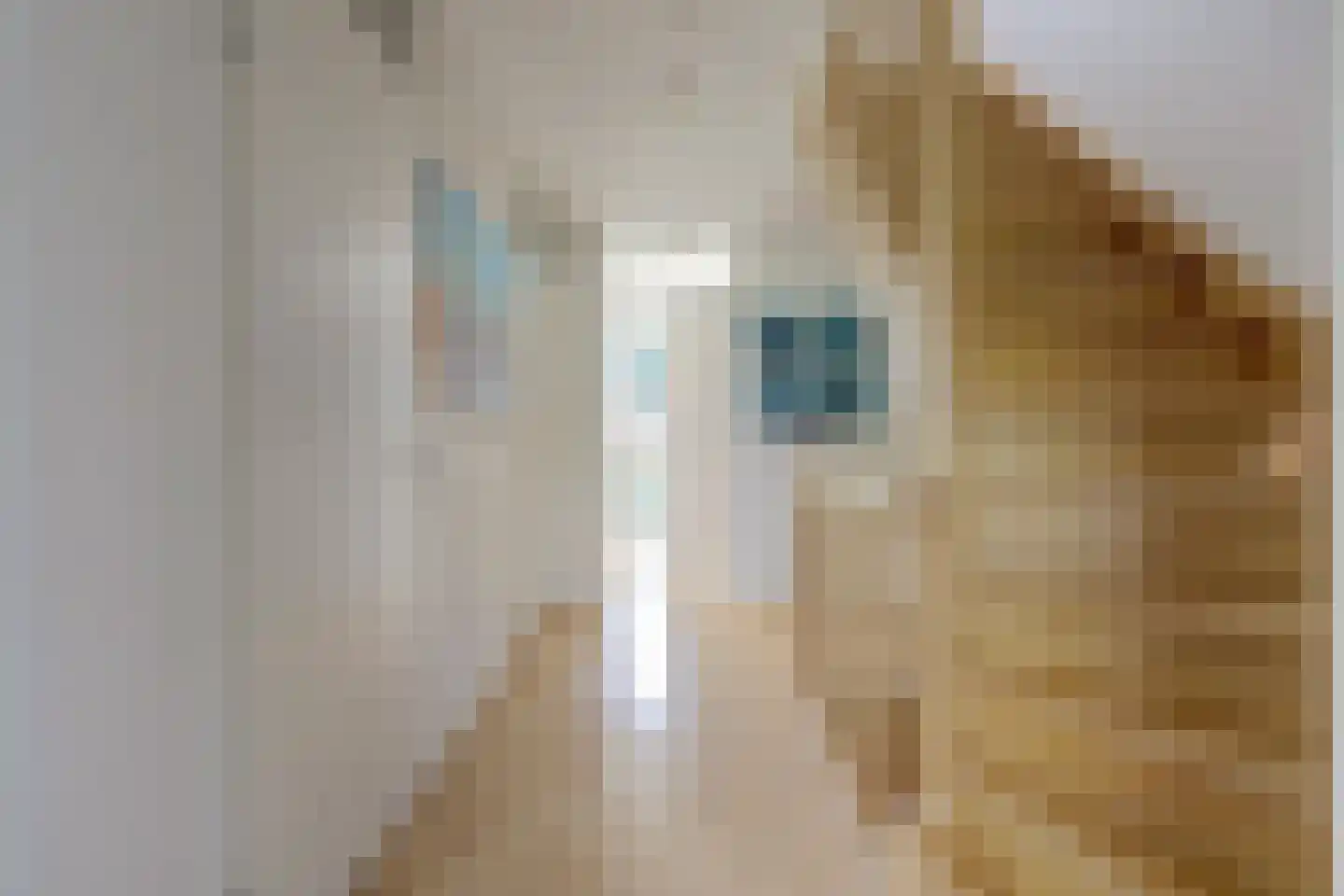 Het Kwatrijn 10 Ridderkerk thumbnail 34