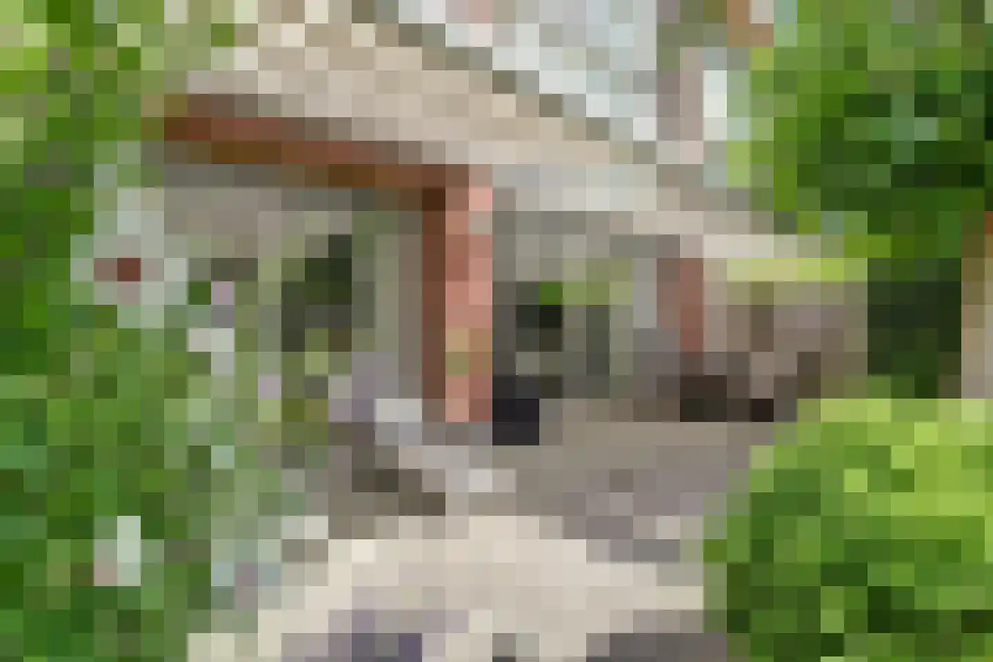 Het Kwatrijn 10 Ridderkerk thumbnail 44