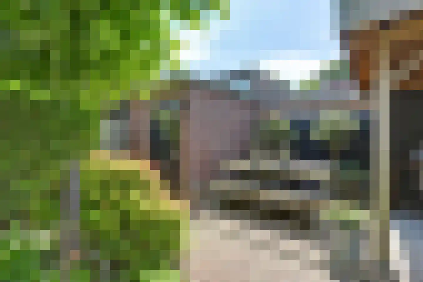 Het Kwatrijn 10 Ridderkerk thumbnail 47