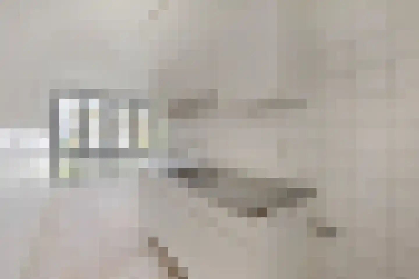 Het Laagt 10 Amsterdam thumbnail 9