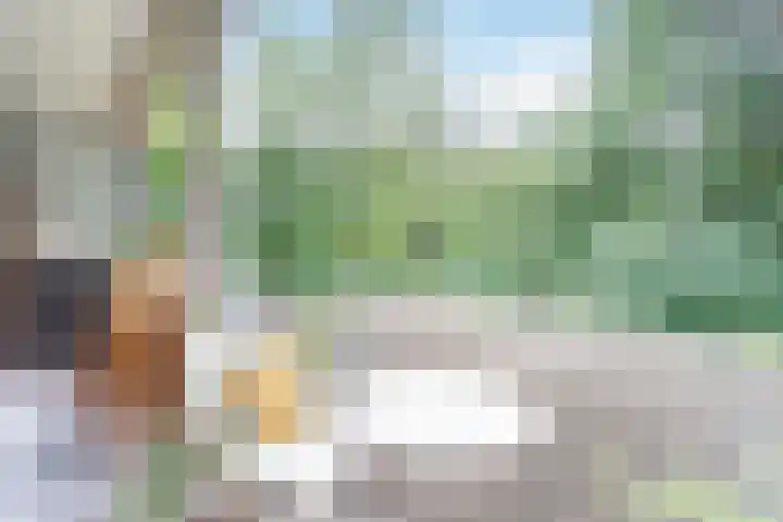 Het Laagt 100 Amsterdam thumbnail 10