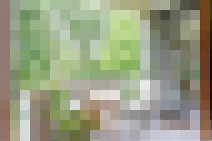 Het Laagt 100 Amsterdam thumbnail 11