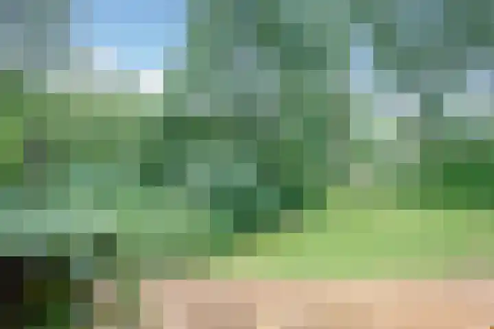 Het Laagt 100 Amsterdam thumbnail 12