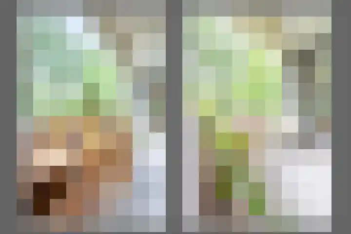 Het Laagt 100 Amsterdam thumbnail 13