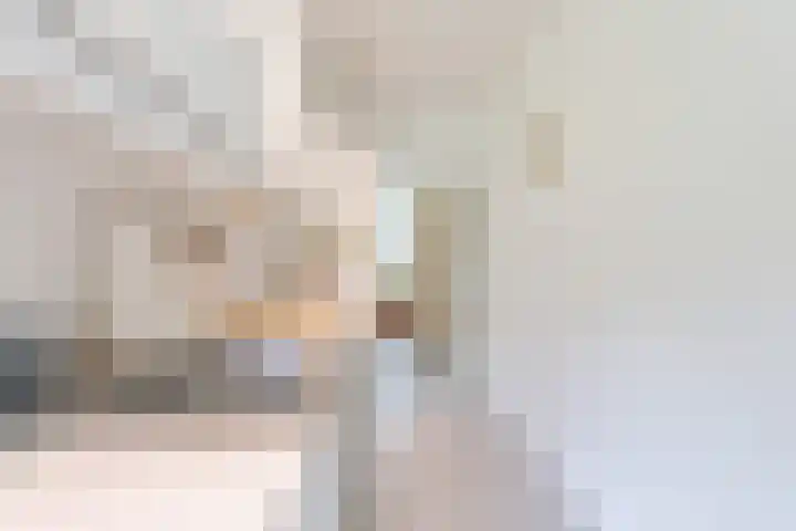 Het Laagt 100 Amsterdam thumbnail 18