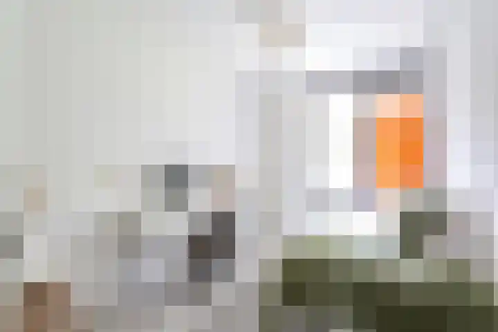 Het Laagt 100 Amsterdam thumbnail 27