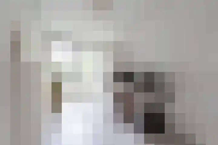 Het Laagt 100 Amsterdam thumbnail 30