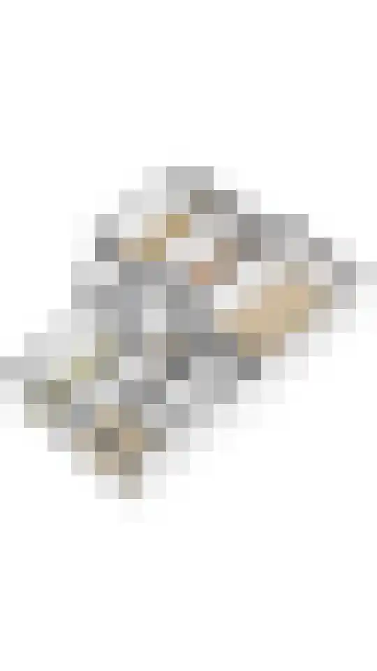Het Laagt 100 Amsterdam thumbnail 36
