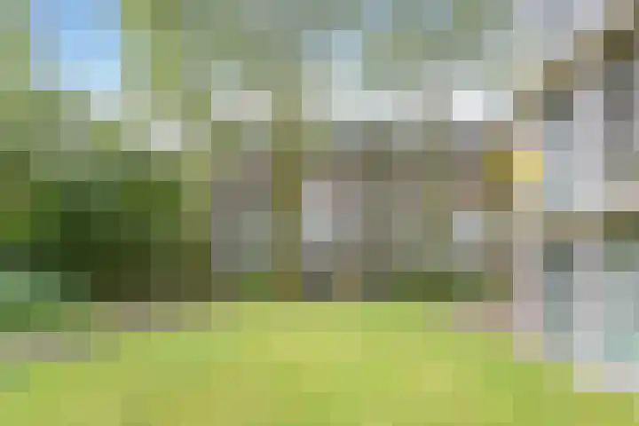Het Laagt 100 Amsterdam thumbnail 37