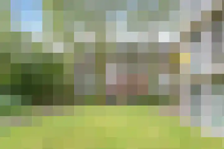 Het Laagt 100 Amsterdam thumbnail 38