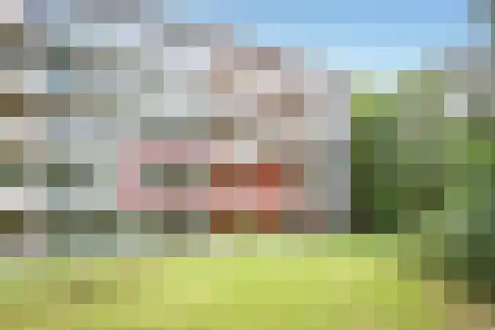 Het Laagt 100 Amsterdam thumbnail 40