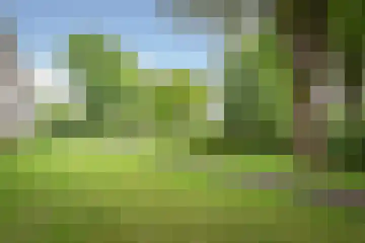 Het Laagt 100 Amsterdam thumbnail 41