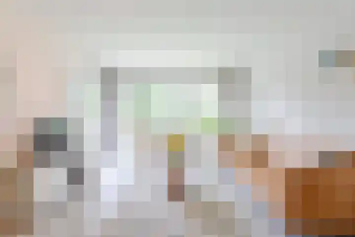 Het Laagt 100 Amsterdam thumbnail 6