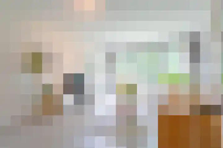 Het Laagt 100 Amsterdam thumbnail 7