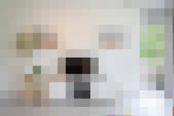 Het Laagt 100 Amsterdam thumbnail 8