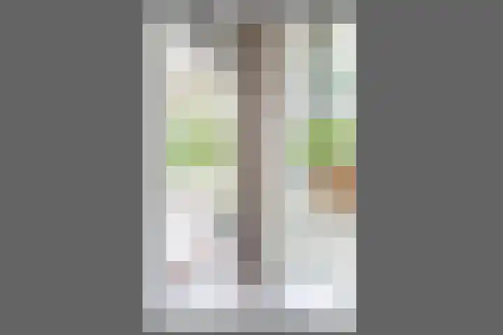 Het Laagt 100 Amsterdam thumbnail 9