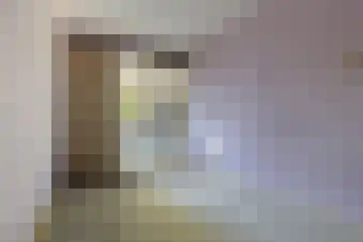Het Laagt 119 Amsterdam thumbnail 12