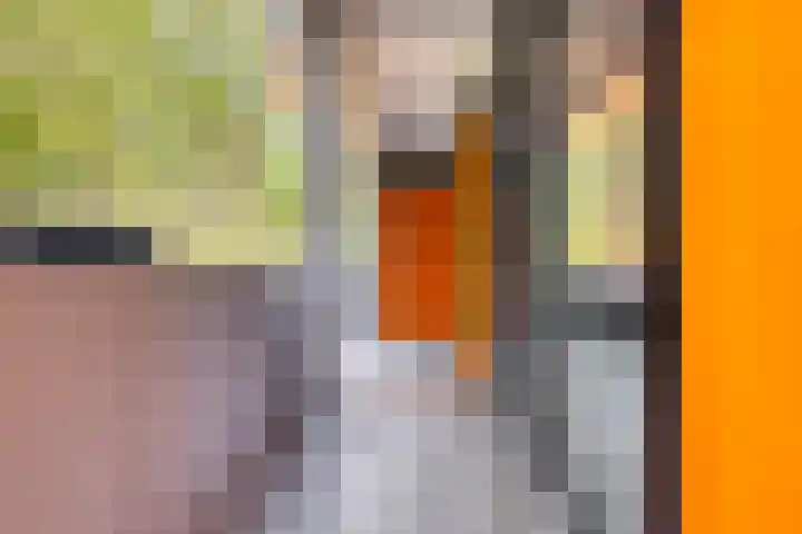 Het Laagt 119 Amsterdam thumbnail 17