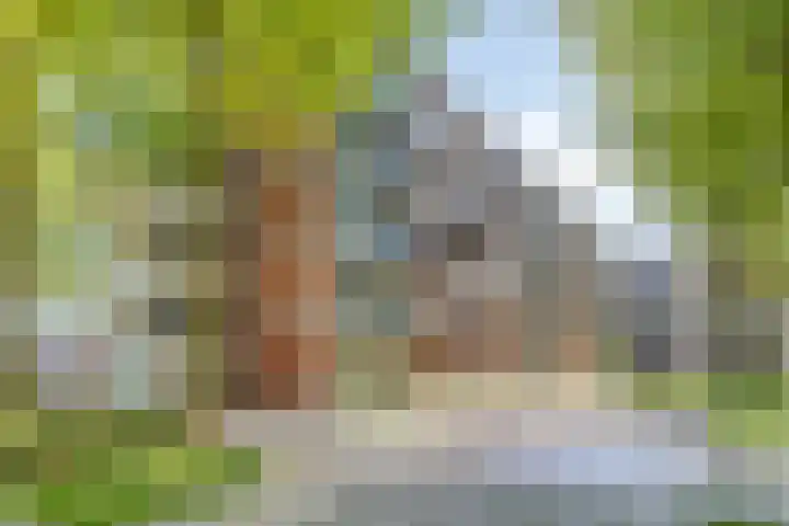 Het Laagt 119 Amsterdam thumbnail 4
