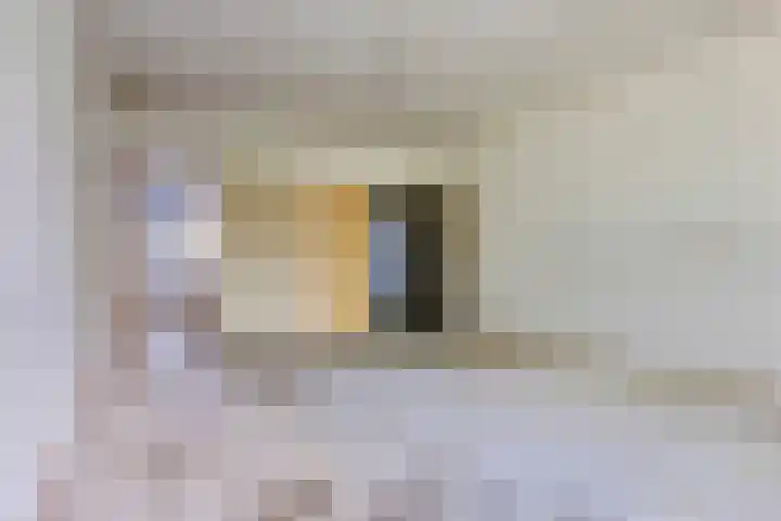 Het Laagt 119 Amsterdam thumbnail 8