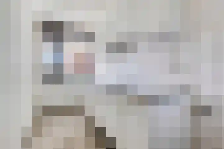 Het Laagt 119 Amsterdam thumbnail 9