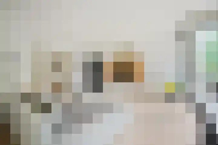 Het Laagt 129 B Amsterdam thumbnail 8