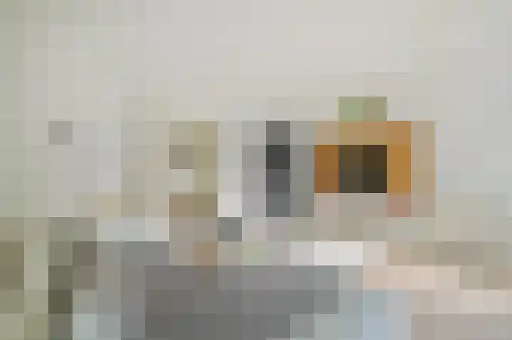 Het Laagt 129 B Amsterdam thumbnail 9