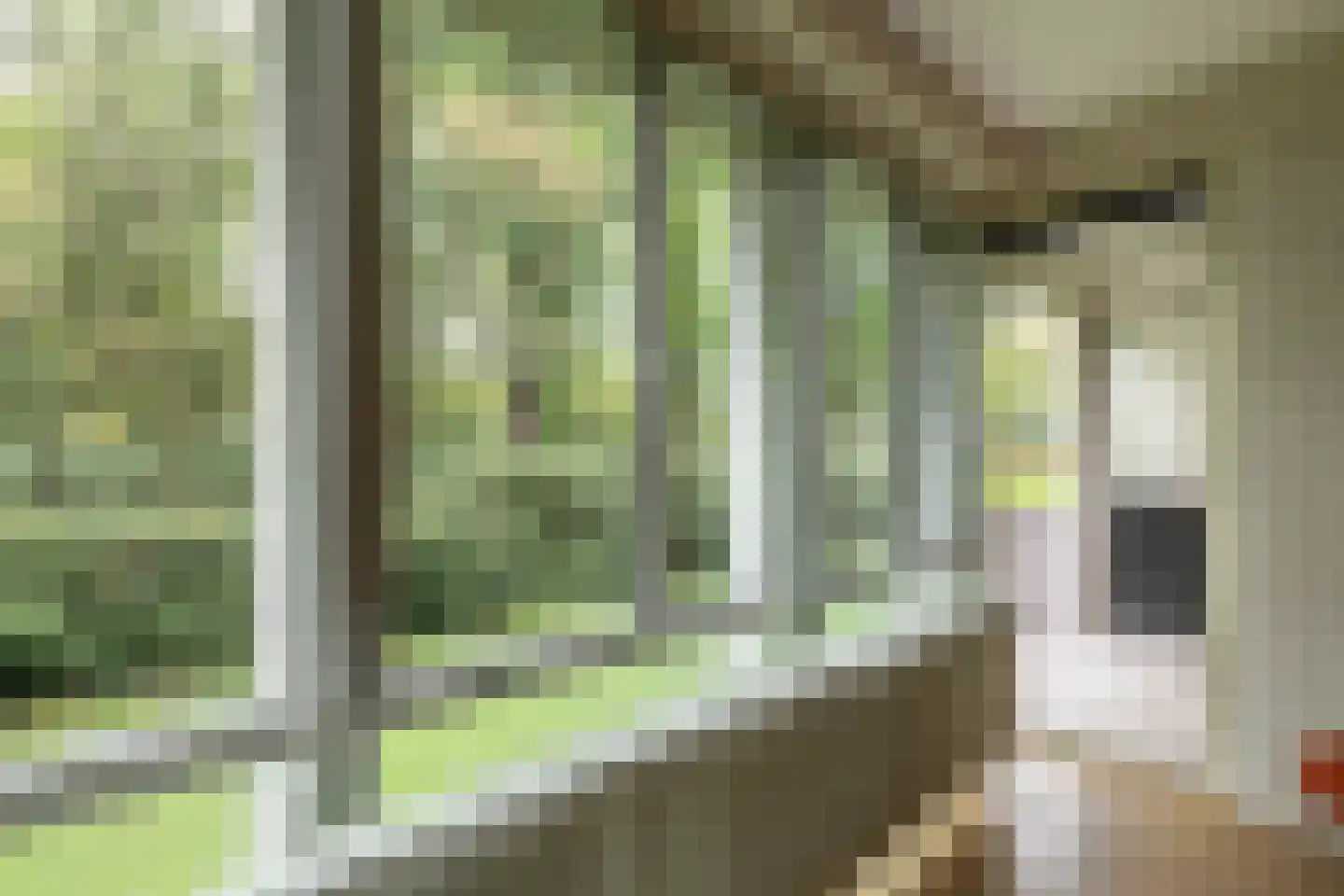 Het Laagt 159 Amsterdam thumbnail 11