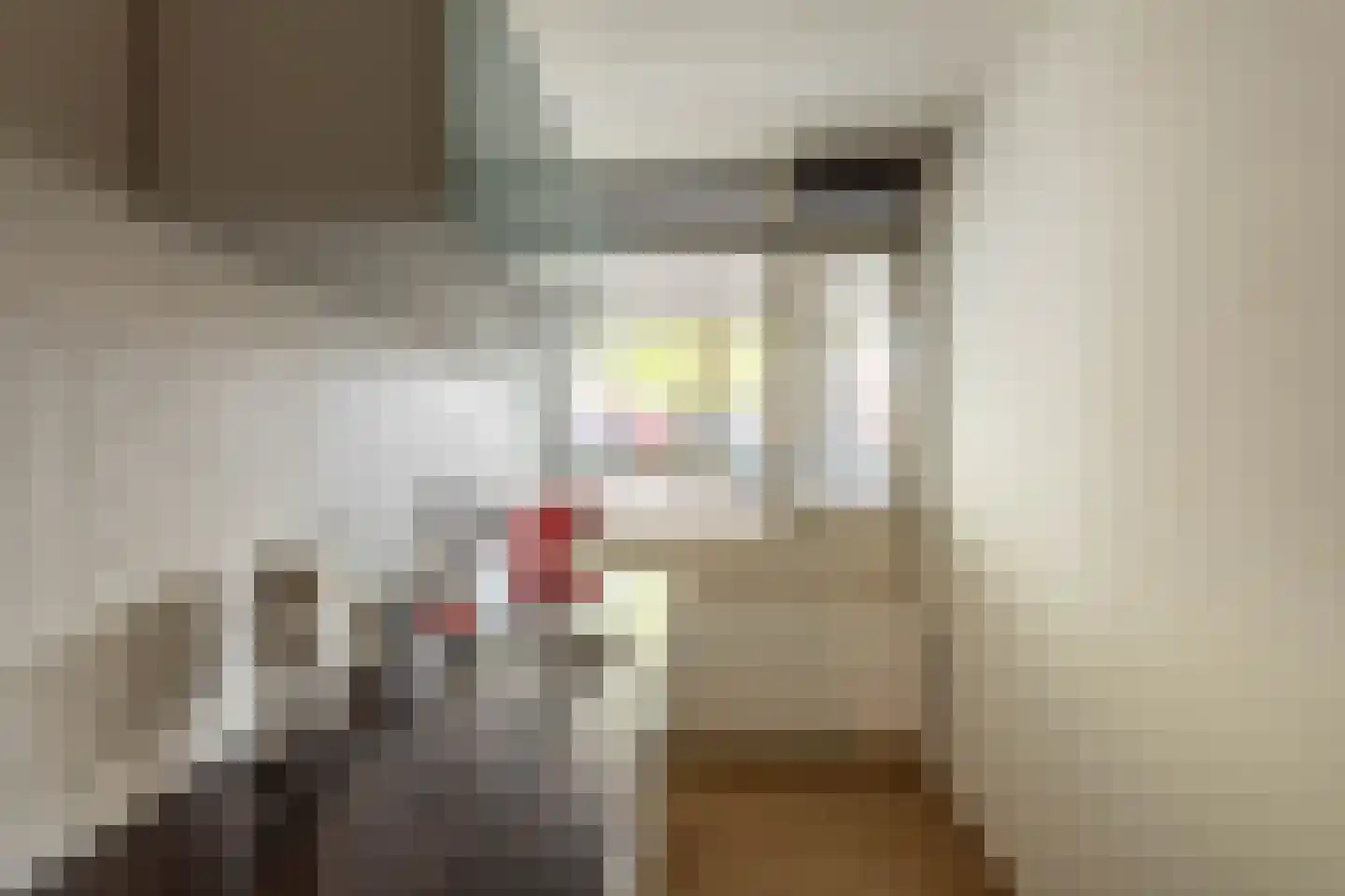Het Laagt 159 Amsterdam thumbnail 15