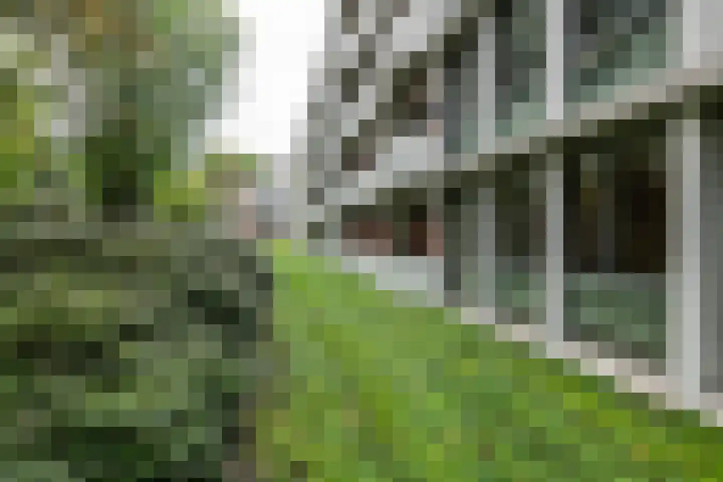 Het Laagt 159 Amsterdam thumbnail 20