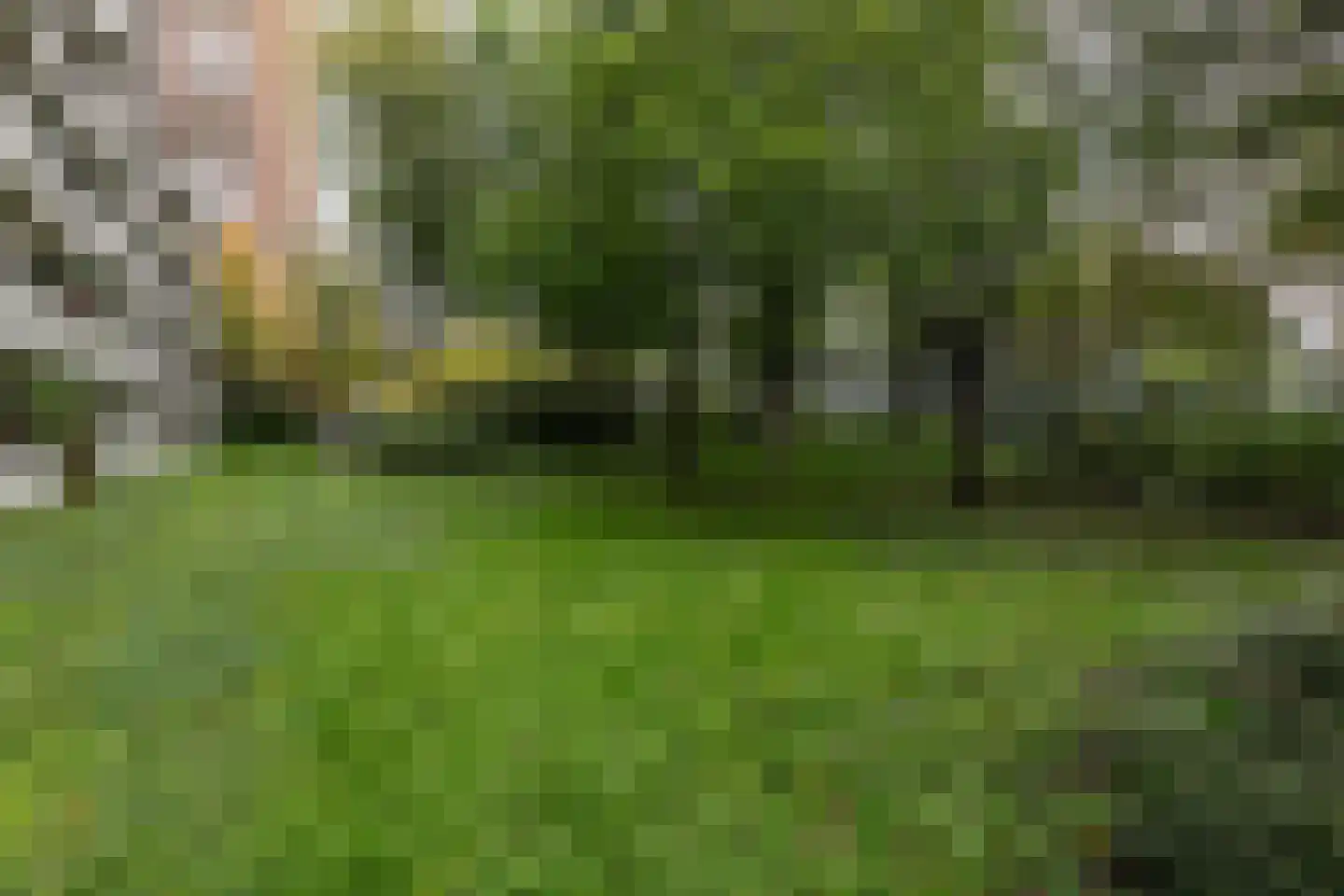 Het Laagt 159 Amsterdam thumbnail 23