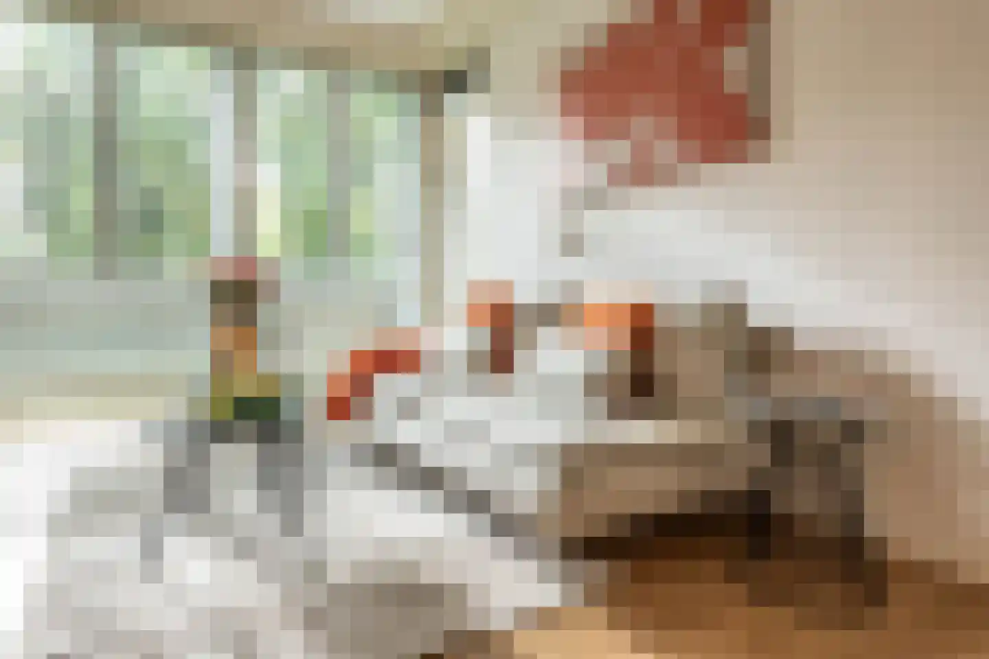 Het Laagt 159 Amsterdam thumbnail 5