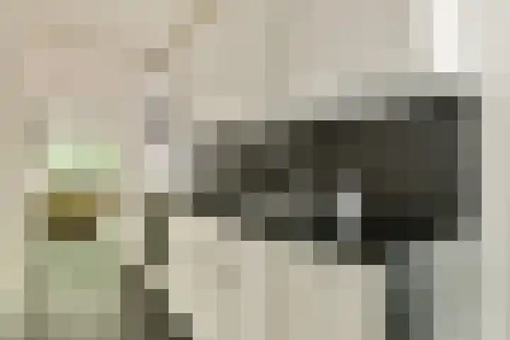 Het Laagt 161 Amsterdam thumbnail 11