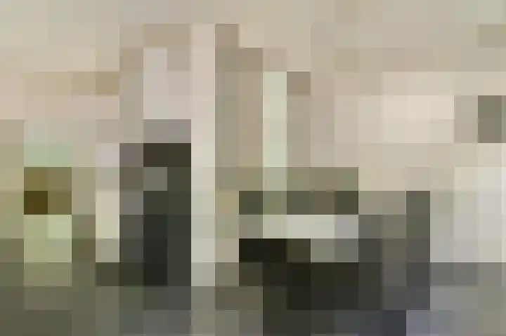 Het Laagt 161 Amsterdam thumbnail 12