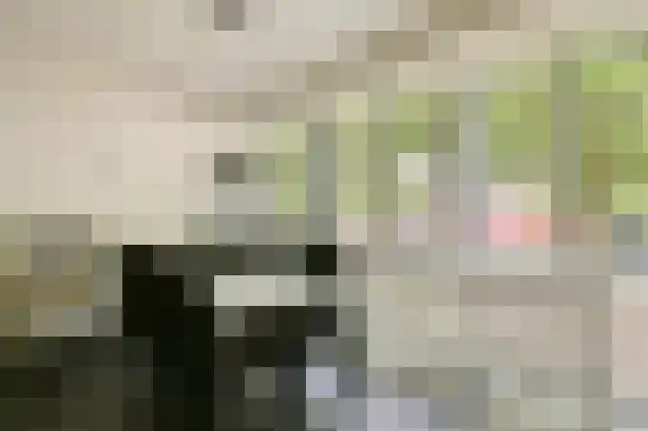 Het Laagt 161 Amsterdam thumbnail 13