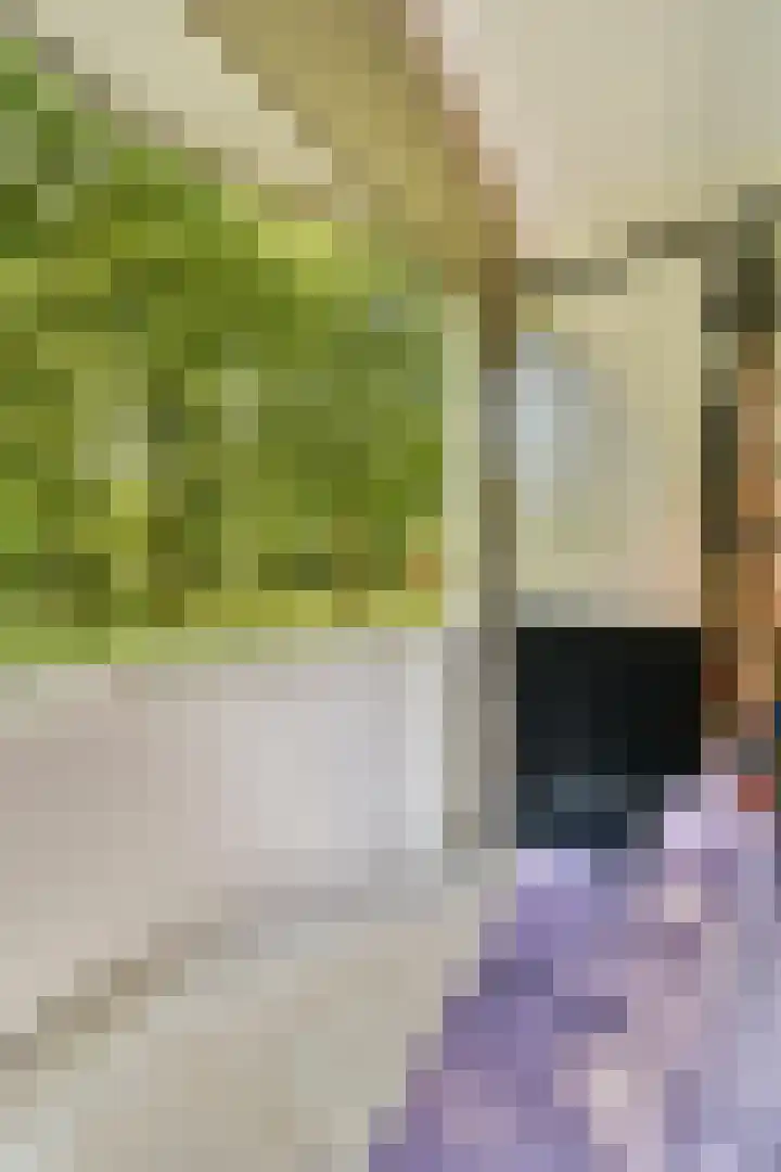 Het Laagt 161 Amsterdam thumbnail 15