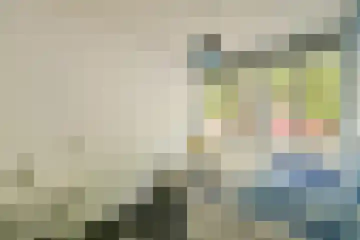 Het Laagt 161 Amsterdam thumbnail 18