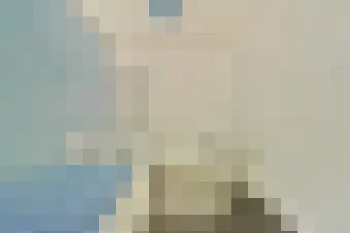 Het Laagt 161 Amsterdam thumbnail 19