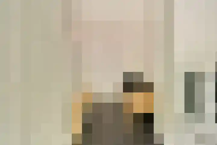 Het Laagt 161 Amsterdam thumbnail 23