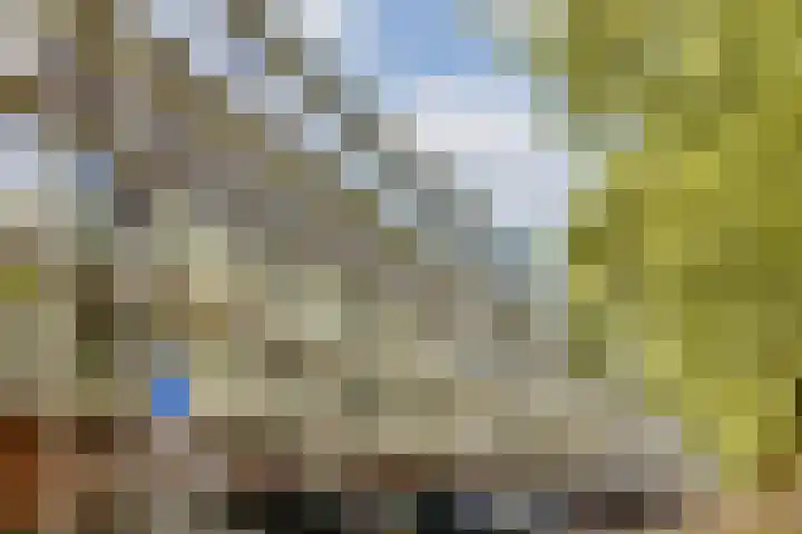 Het Laagt 161 Amsterdam thumbnail 27