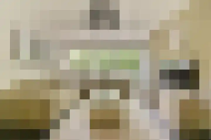 Het Laagt 161 Amsterdam thumbnail 4