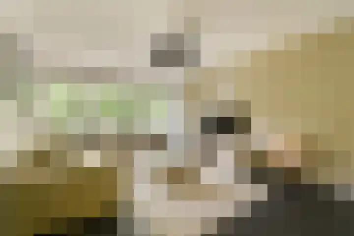 Het Laagt 161 Amsterdam thumbnail 5